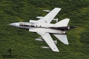 11892312_788345141287555_2312230990660471940_o