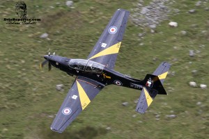 Tucano