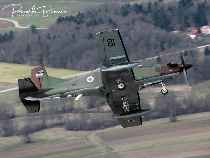 Slovenian Armed Forces