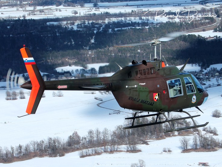 Slovenian Armed Forces