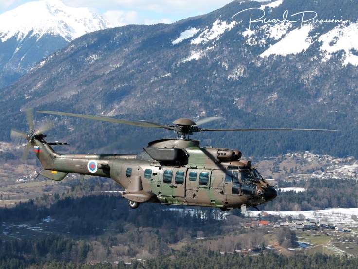 Slovenian Armed Forces