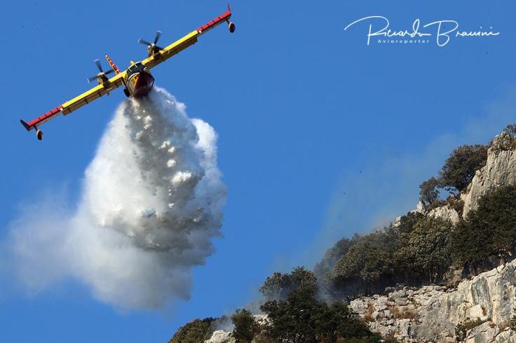 f913e00a-011f-45a1-bb36-8244d4782d89